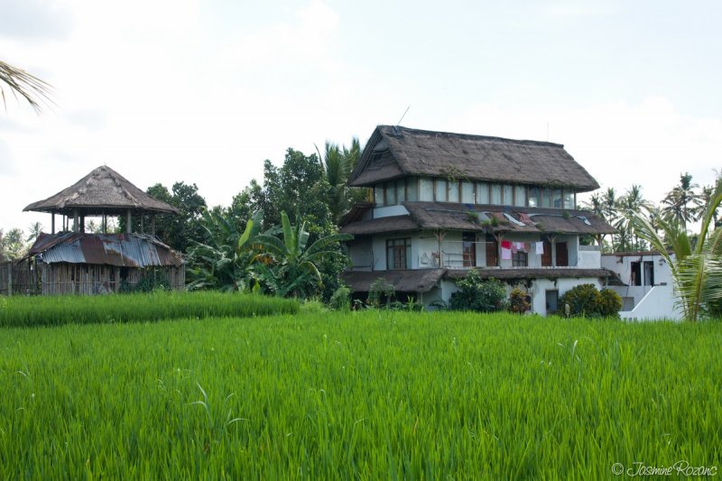 Maison des rizières