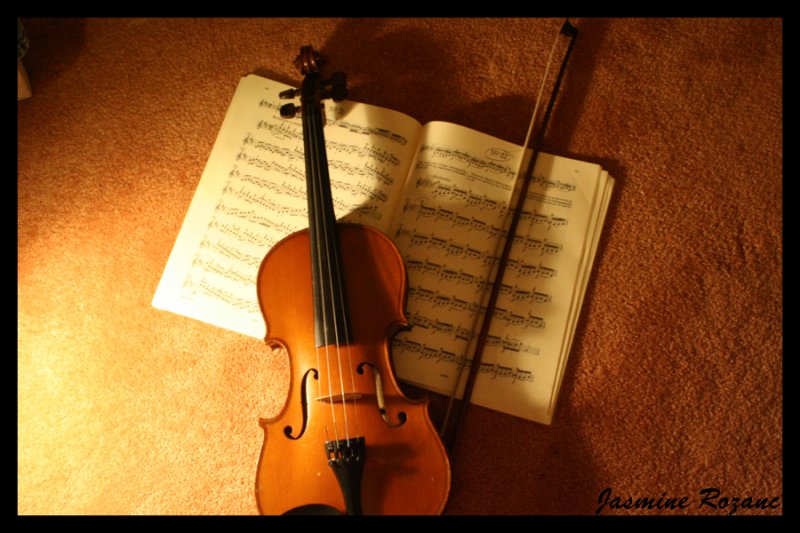 My violin