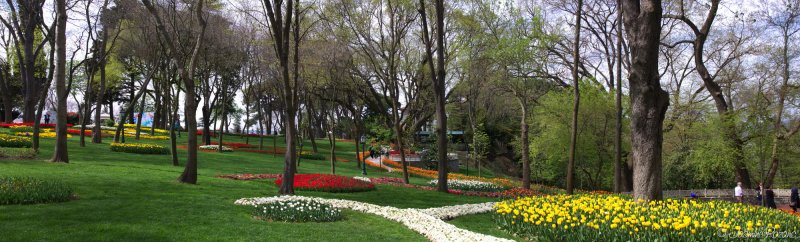 Le beau jardin d'Hidiv Kasri