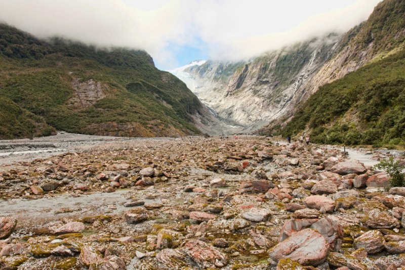 Frans Josef Glacier, NZ