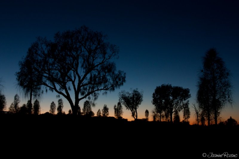 Sunrise in Uluru