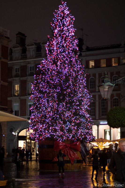 Christmas tree at Covent Garden